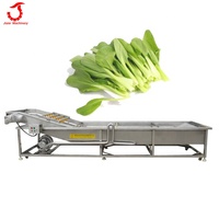 Fruit En Wortel Groene Groente Wasmachine Industriële Fruit Wasmachine Voor Groenten En Fruit