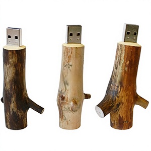 Nueva Memoria <span class=keywords><strong>USB</strong></span> Personalizada con Forma de Rama de Árbol de Madera, 8GB 2.0, 1 Año de Garantía, Unidad Promocional Creativa para Publicidad - Product Image 1
