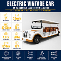 Voiture électrique de tourisme vintage personnalisable, idéale pour les célébrations de mariage, les galas et les défilés