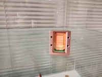 Module laser à diodes haute précision 600W 6 barres, pile de lasers 3D en cristal 808nm 755nm 1064nm, puce cohérente, poignée de remplacement personnalisée