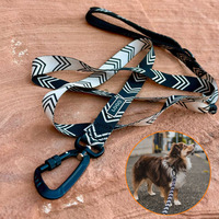 Vente en gros de sangles en nylon personnalisées à motif de broderie pour dressage en plein air sangle de laisse pour chien avec mousqueton en métal et aluminium