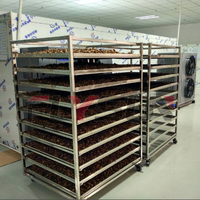 Chambre de déshydratation de poivrons verts en acier inoxydable de haute qualité pour le traitement agricole – Séchoir à pompe à chaleur écoénergétique