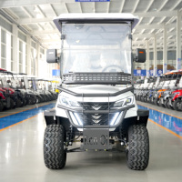 Voiturette de golf électrique 6 places, batterie lithium 72V, buggy de golf de luxe personnalisé pour hôtel, club, certifié CE