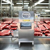 Machine d'injection automatique de saumure pour volaille et viande, à tension personnalisable, avec 48, 80, 120 ou 240 aiguilles – Nouveauté très demandée