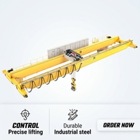 Grue métallurgique à double poutre motorisée par PLC de marque Wanlong, capacité de levage de 12,5 T, portée de 31,5 m, 20 m