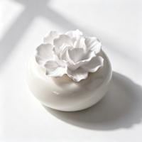 Diffuseur de parfum FinRu en céramique, bouteille en porcelaine, parfum d'ambiance, huile essentielle, rafraîchisseur d'air, coffret cadeau, vente en gros
