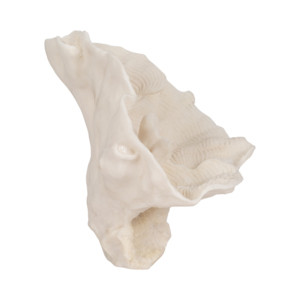 Statuetta a forma di ventaglio in resina, scultura decorativa costiera per casa, ufficio, tavolo, bagno, mensola, ingresso - Product Image 3