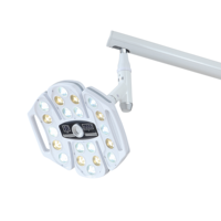Lampe chirurgicale LED dentaire à haute luminosité Grand Medical - Éclairage opératoire professionnel sans ombre pour implant dentaire et fauteuil dentaire