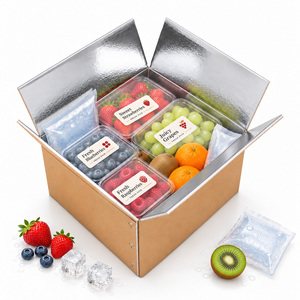 Wholesale Custom Foldable 3 Layer Aluminum Foil Foam Lined Kraft Paper Thermal Insulated Shipping <b>Box</b> - Product Image 1