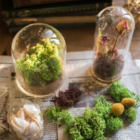 Dôme en verre borosilicate de haute qualité pour la préservation florale des fleurs sauvages modernes, idéal pour la décoration intérieure d'anniversaire et de célébration