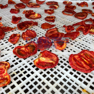 Nouvelle technologie de sécheuse à tomates, ligne de production de séchage de tomates, équipement de déshydratation de tomates - Product Image 2