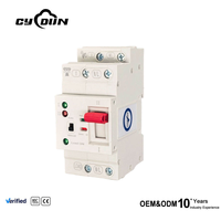 ATS-63A 100A 125A AC690V 2P Commutateur de transfert automatique de type PC certifié CE UE Rail DIN ATS OEM ODM