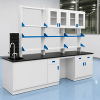 Banc de laboratoire tout acier en gros avec étagère à réactifs et armoires, plan de travail en résine époxy résistant aux produits chimiques, poste de travail de laboratoire scolaire