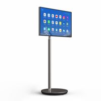 Téléviseur intelligent portable Ingscreen 32 pouces avec écran tactile, USB, Wi-Fi, OS 10, pour intérieur, OEM