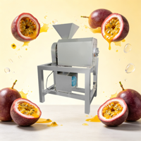 Dubbelkanaals aardbeien-appel-abrikozen-mango fruitpulpmachine voor fruitverwerkingsbedrijven, motor met hoge productiviteit, beste kwaliteit