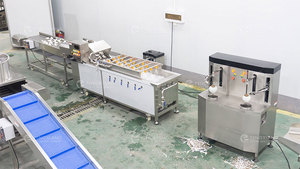 Máquina Peladora de Coco Automática FXP-YZ-II, Peladora Comercial de Coco Marrón Kelapa, Acero Inoxidable 304, Alta Calidad para Frutas y Verduras - Product Image 6