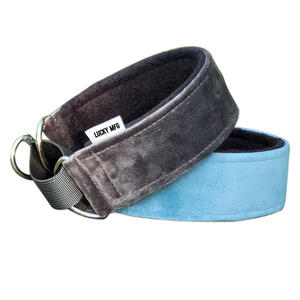 <span class=keywords><strong>Collar</strong></span> de perro Whippet con diseño de martingala ensanchado resistente personalizado <span class=keywords><strong>Collar</strong></span> de perro de 3 pulgadas de ancho de tela de terciopelo - Product Image 1