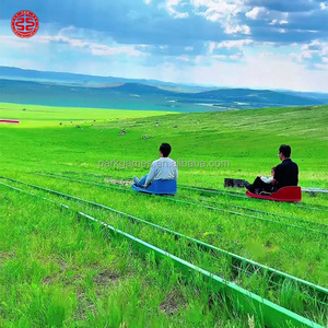 Attraente Scivolo Multiplo per Bambini e Adulti, Scivolo su Pista Erbosa, Scivolo Estremo, Attrezzatura per Parco Divertimenti Familiare Senza Motore - Product Image 5