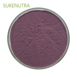 Bubuk ekstrak <span class=keywords><strong>Bilberry</strong></span> standar 25%, suplemen diet bersertifikasi GMP - Product Image 4