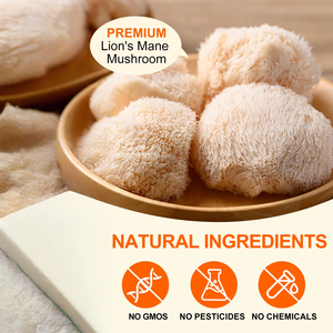 Gotas de Complejo de Hongos, Gotas Líquidas Orales con Reishi Orgánico y Melena de León, Suplemento Líquido para la Función Cognitiva y la Memoria - Product Image 5