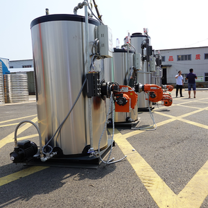 מחולל קיטור אנכי מסחרי תעשייתי סיני בלחץ נמוך LSS, מופעל בפחם/ביומסה - Product Image 3