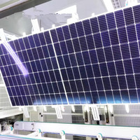 Module photovoltaïque DEMUDA N-Type Topcon 550W 590W 595W 600W 605W 610W Mono Monocristallin Demi-cellule Bifacial
