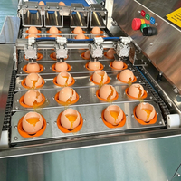 Chaîne de production complète pour usine de protéines liquides : machine de lavage, séchage et test d'œufs de qualité alimentaire, et petit séparateur d'œufs pour la production de liquide d'œuf
