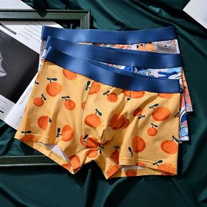 Sous-vêtements pour hommes à imprimé fruité, taille confortable, respirants, en coton modal, boxers pour garçons, vente en gros - Product Image 2