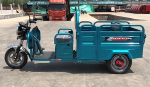 Hot Sale 1000W Electric Passenger Vehicle <strong>Open</strong> Box Design with Big <strong>Space</strong> 60v Voltage <strong>Open</strong> Body Electric Tricycle in Uzbek - Product Image 6