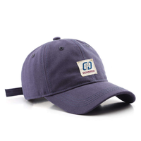 Proveedor Chino de Gorras de Béisbol Snapback de Algodón de Alta Calidad, Unisex, Personalizadas, con Patrones de Puntos/Frutas, Gorras Deportivas al Por Mayor