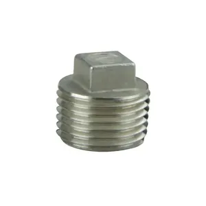 Stainless Steel SUS201 SUS304 SUS316 SUS410 Plain Polished Square Head Screw Plug