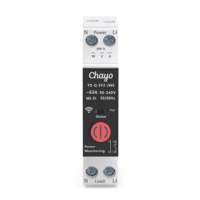 Interrupteur intelligent WiFi EWeLink 1P+N, disjoncteur MCB, compteur Kwh, relais temporisé avec télécommande pour bâtiment commercial Chayo