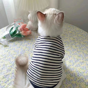 Vêtements pour chat de compagnie, sweat-shirt rayé, toutes saisons, vêtements de loisirs confortables pour chat britannique à poils courts Ragdoll - Product Image 3