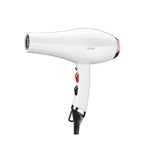 Professional Ac Motor Ion Blow Hair Blow Dryer For Hair Salon Private Label Electric Red Yellow blue Color Hairdryer