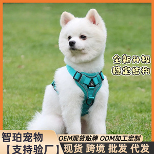 Small <b>dog</b> <b>leash</b>, vest-style harness, <b>dog</b> walking <b>leash</b> for small and medium-sized <b>dogs</b> such as Bichon Frise, Teddy, and - Product Image 5