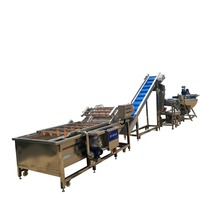 Ligne de lavage automatique à bulles d'air et stérilisation à l'ozone de qualité alimentaire à haute efficacité pour le traitement des tomates, cerises, légumes et du ketchup