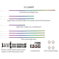 Kit d'éclairage d'ambiance intérieur 12V pour Avatar 12 2023-2025 – 12 ou 26 options de luminosité, couleur Phantom, installation sans perçage, ensemble de rétrofit pour habitacle