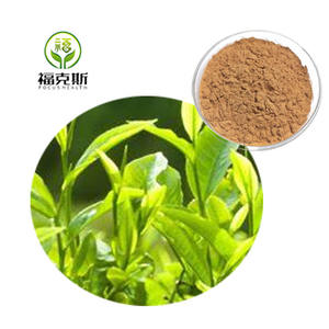 איכות גבוהה אורגני תה ירוק תמצית 80% אבקת קטצ 'ין צמחים כיתה קפסולות מן עלה 1 ק "ג mq - Product Image 2