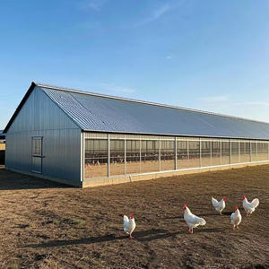 מבנה פלדה מודרני בניין בית עוף בעיצוב מסורתי בית עוף לחווה בטיחות יציבות בחוות עופות - Product Image 3