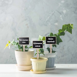Etichette per Piante in <span class=keywords><strong>Legno</strong></span> Effetto Lavagna con Bastoncini, Marcatori Cancellabili per <span class=keywords><strong>Giardino</strong></span>, Matrimoni e Decorazioni per Feste - Product Image 2