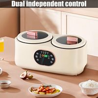 Nouvelle Conception Mini Cuiseur à Riz Électrique Intelligent Double Cuve Antiadhésif Faible Teneur en Sucre Alimentation USB Fonction Minuterie en Plastique