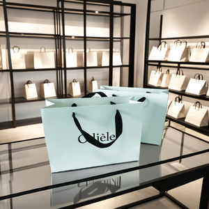 Sacchetti Regalo Personalizzati in Carta Kraft con Manici per Abbigliamento e Biancheria Intima, Personalizzabili con il Tuo Logo per Promozioni - Product Image 2