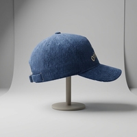 Casquette de sport unisexe structurée en velours côtelé avec logo personnalisé, design de visière incurvée, broderie personnalisée, casquette de baseball unisexe pour l'extérieur
