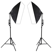 Kit de Studio Photo Professionnel d'Usine avec Trépied, Boîte Diffuseur Souple 60x90 cm, Réflecteur et Fonds
