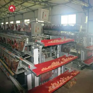 Gaiola de galinha usada da fazenda da camada do design para venda