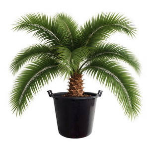 Chậu cây nhựa chịu lực 50L có quai xách, chậu ươm cây cho cây bụi lớn & cây ăn quả, dùng cho nhà và vườn - Product Image 2