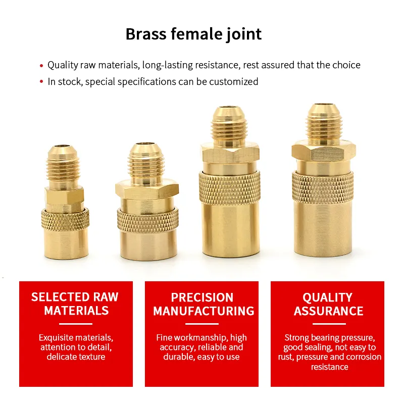 Trung Quốc Adapter linh hoạt Hex khớp nối Brass nhanh chóng phát hành khớp nối cho LPG gas nước khớp nối nhanh chóng