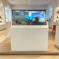 Afficheur numérique OLED personnalisable de 55 pouces, résolution 1920x1080, écran transparent pour la publicité dans les centres commerciaux, les métros