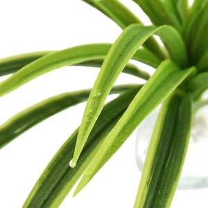 Piezas de bonsái chino, césped sintético, follaje de manojo Artificial para decoración de jardín - Product Image 3