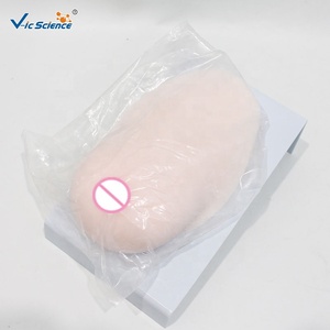 Modelo de Silicona Médica para Entrenamiento de <span class=keywords><strong>Lactancia</strong></span> <span class=keywords><strong>y</strong></span> Forma de Senos Durante la <span class=keywords><strong>Lactancia</strong></span> - Product Image 4